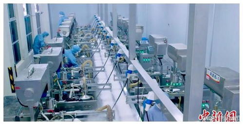 臺商深耕江西 以科技為翼，推動傳統食品傳承與生物化工創新